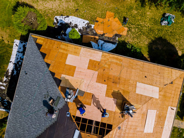 Roof Waterproofing Services in Rosharon, TX