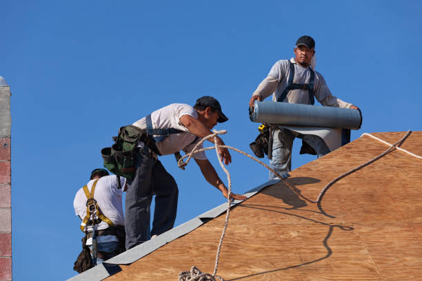 Best Gutter Installation and Roofing  in Rosharon, TX