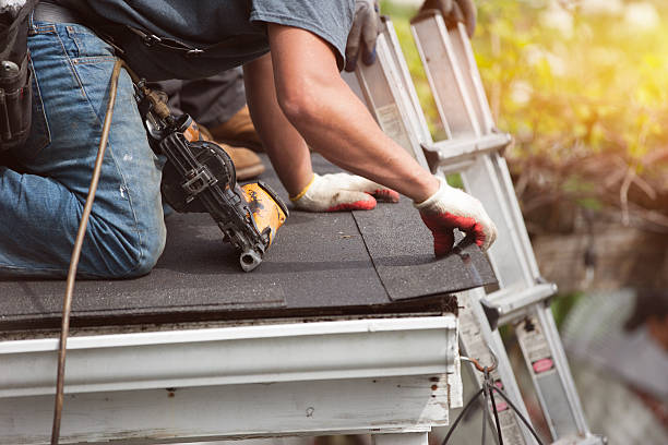 Best Roof Gutter Cleaning  in Rosharon, TX